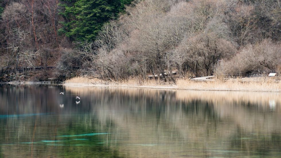 九寨沟五花海与珍珠滩瀑布西游记取景地