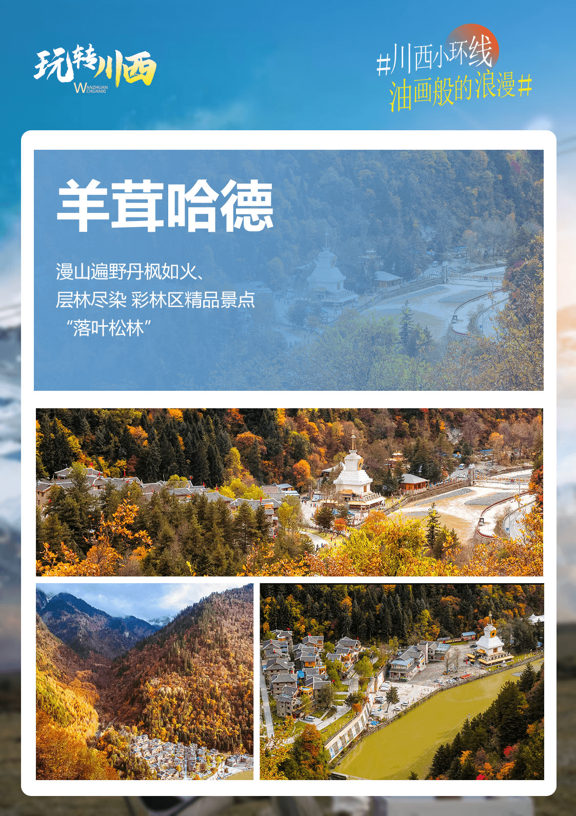 图片 13 图片 13