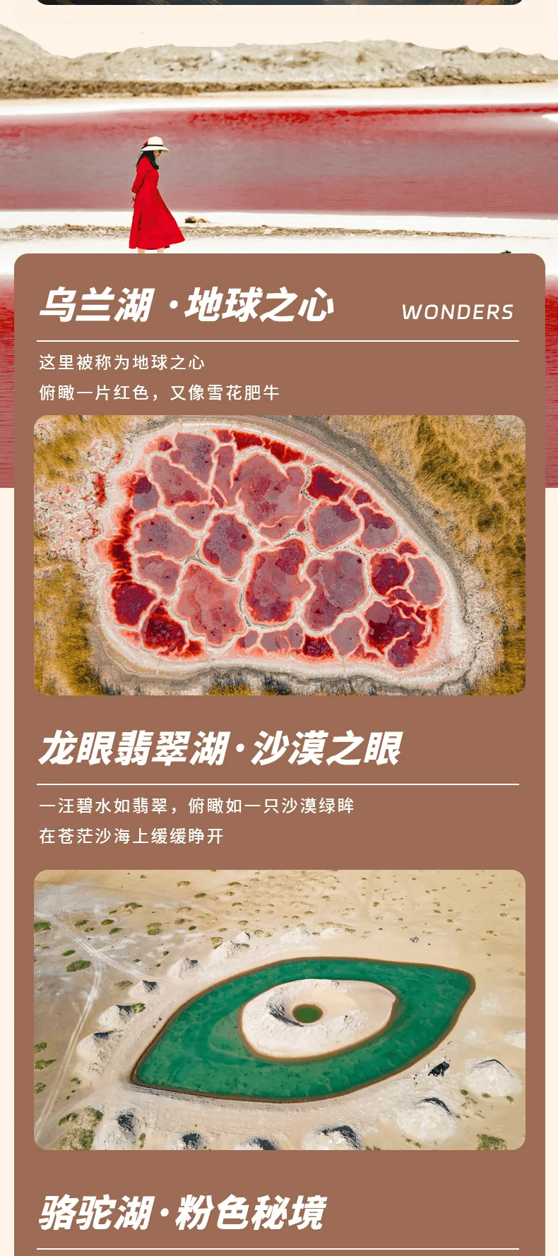 5 - 副本 5 - 副本