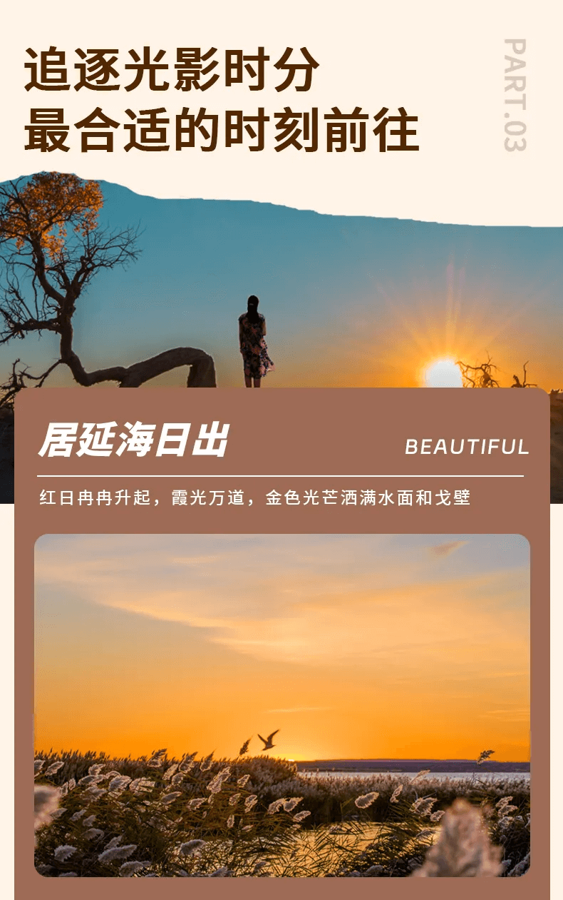 7 - 副本 7 - 副本