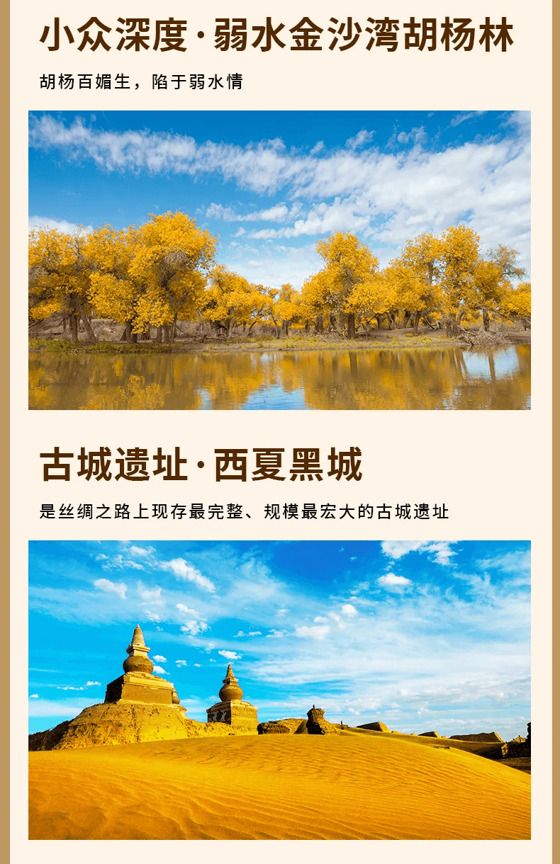 10 - 副本 10 - 副本