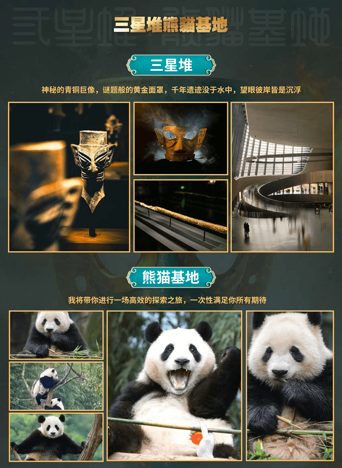 图片2 图片2