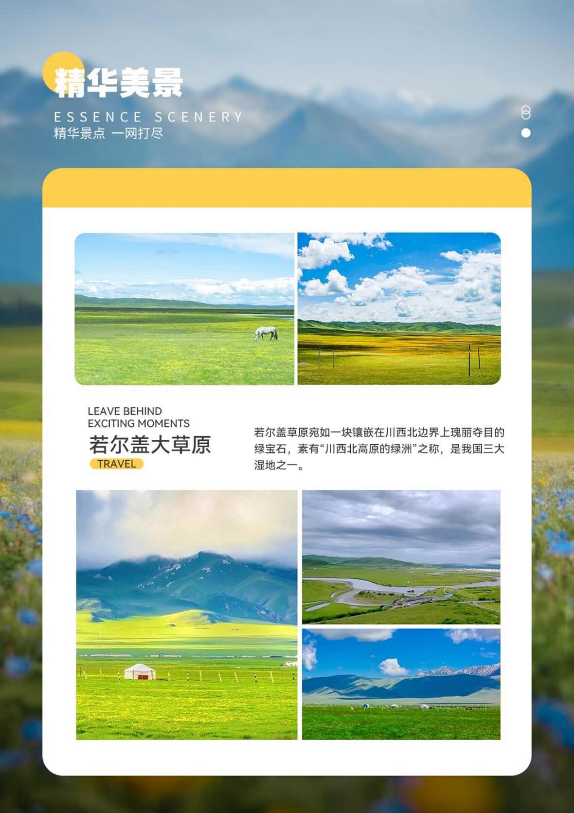 图片15 图片15