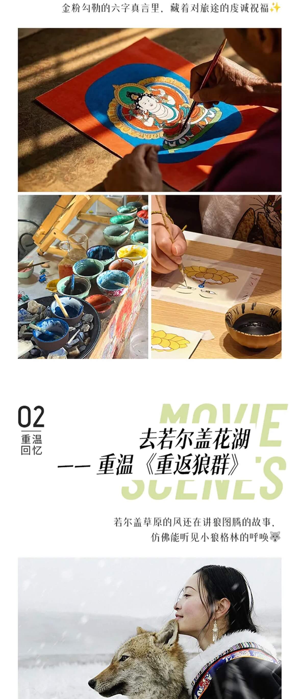 甘南8天_05 甘南8天_05